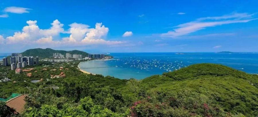 16728215837091157PQ1.jpg 640.jpg